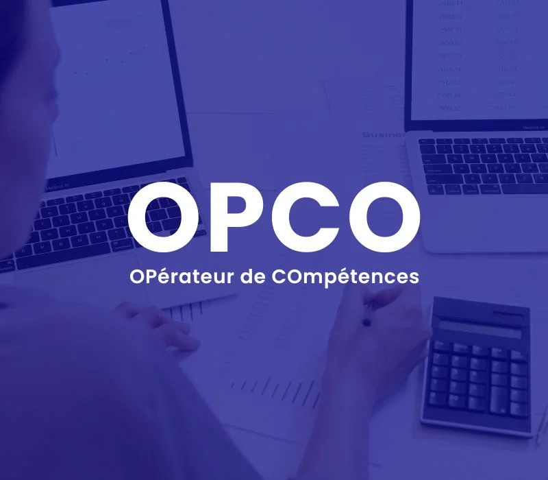 Audit RH formation besoins compétences plan PME OPCO